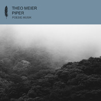 Theo Meier - Piper