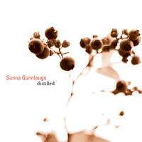 Sunna Gunnlaugs - Gallop