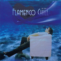 James Patrick Kaleth, Bob Mitchell, Jez Pike - Hip Trip 2: Flamenco Chill