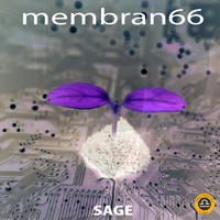 membran 66 - Sage