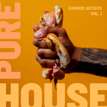 Various Artists - Pure House, Vol. 1