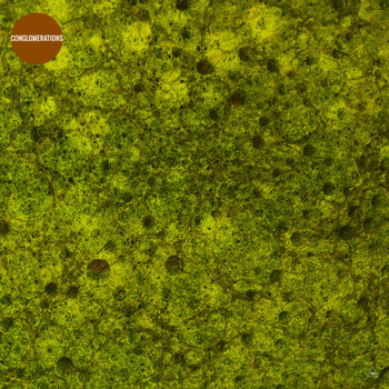 Various Artists - Conglomerations