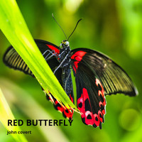 John Covert - Red Butterfly