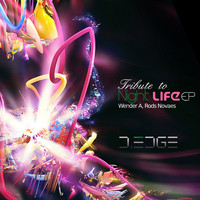Wender A., Rods Novaes - Tribute To Night Life