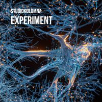 StudioKolomna - Experiment