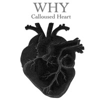 WHY - Calloused Heart (Radio Edit)