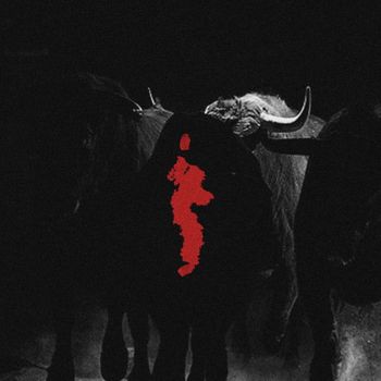 Dave Black - Thaca