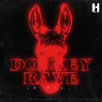DR SKULL - Donkey Rave