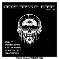 Various Artist - MORE BASS PLEASE Vol.2
