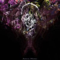 Armin Mersi - Carry Me Home