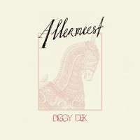 Diggy Dex - Allermeest