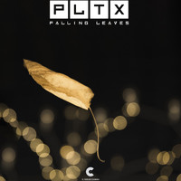 PLTX - Falling Leaves