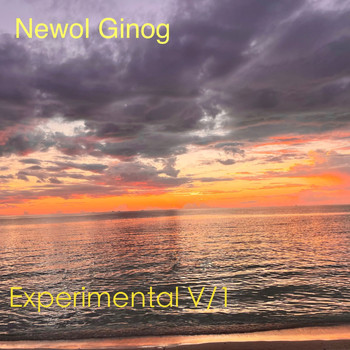 Newol Ginog - Experimental V, 1