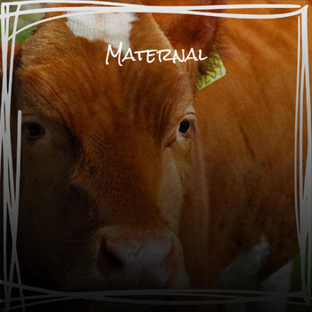 Various Artists - Maternal