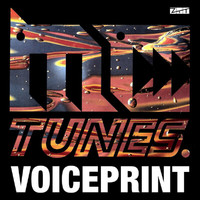 MC Tunes, 808 State - Voiceprint - MC Tunes Vs. 808 State's Greatest Bits