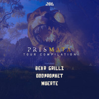Bear Grillz - Prismata Tour Compilation