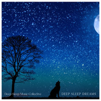 Deep Sleep Music Collective - Deep Sleep Dreams