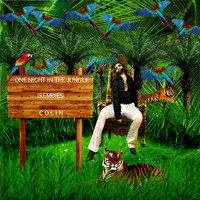 Colin - One Night In The Jungle (Remixes)