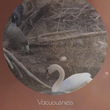 Various Artists - Vacuousness