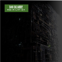 BOII BIZARRE - Assimilation