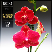 Dj Slav - In the Arms of Autumn
