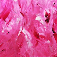 Nocturnal Animals - Paint A Picture - EP (Explicit)