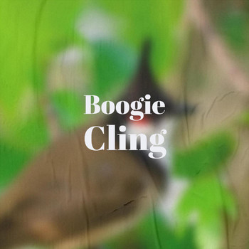 Various Artists - Boogie Cling