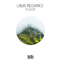 Liquid Mechanics - Flux EP