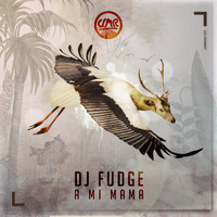 DJ Fudge - A Mi Mama