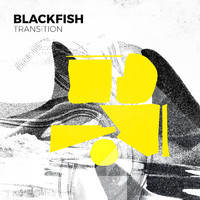 blackfish - Transition