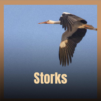 Various Artists - Storks