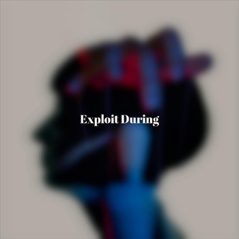 Various Artists - Exploit During