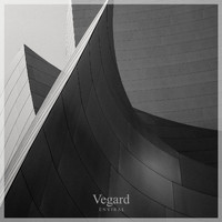 Vegard - Enviral