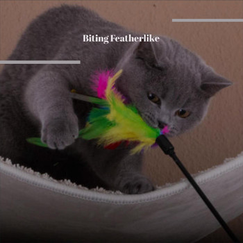 Various Artists - Biting Featherlike