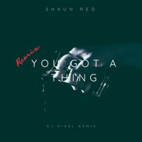 Shaun Red - You Got A Thing (DJ Nigel Remix)