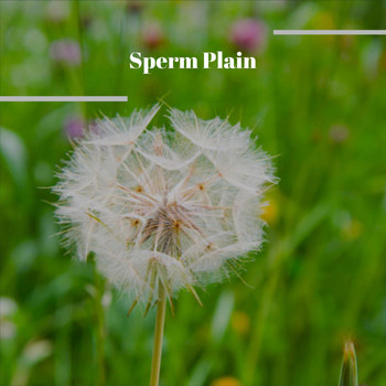 Various Artists - Sperm Plain