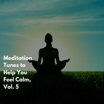 Various Artists - Meditation Tunes to Help You Feel Calm, Vol. 5
