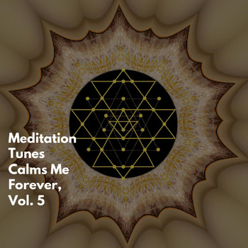 Various Artists - Meditation Tunes Calms Me Forever, Vol. 5