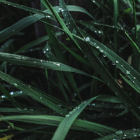 Rain Sounds XLE Library - Lullaby ASMR Rain Sound