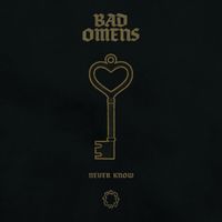 Bad Omens - Never Know (Live)
