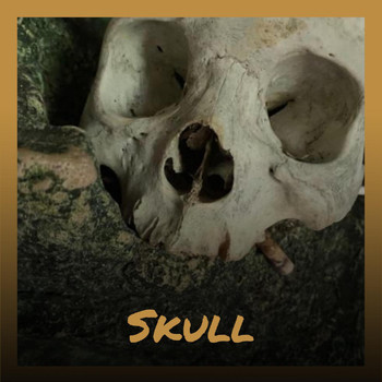 Various Artists - Skull