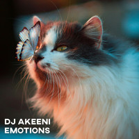 dj akeeni - Emotions