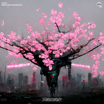 Lick - REFLECTIONS