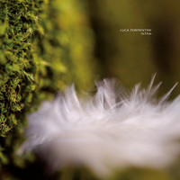 Luca Formentini - Intra-