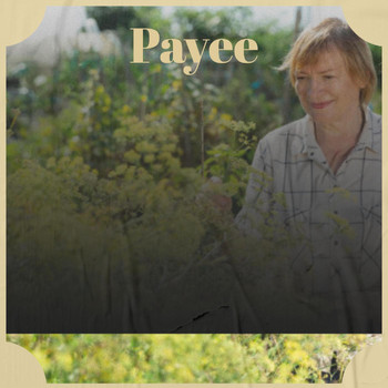 Various Artists - Payee