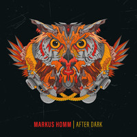 Markus Homm - After Dark