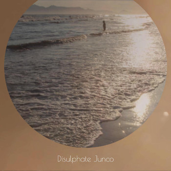 Various Artists - Disulphate Junco