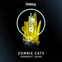 Zombie Cats - Overnight / Blame