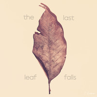 Josh Kramer - The Last Leaf Falls