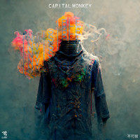 Capital Monkey - Invisible